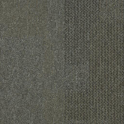 Looking for Interface carpet tiles? Transformation in the color Plantation is an excellent choice. View this and other carpet tiles in our webshop.