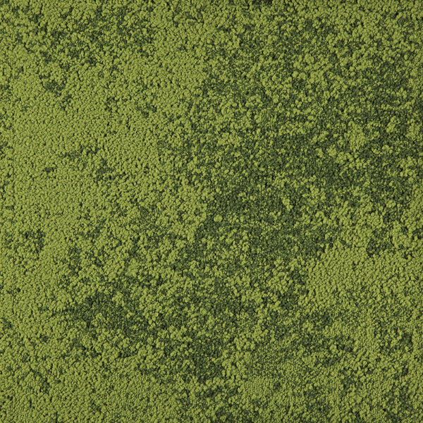 Carpet To Tile Transition >> CarpetTilesOutlet.com - Urban Retreat 103 - Grass Carpet To Tile Transition >> CarpetTilesOutlet.com - Urban Retreat 103 - Grass